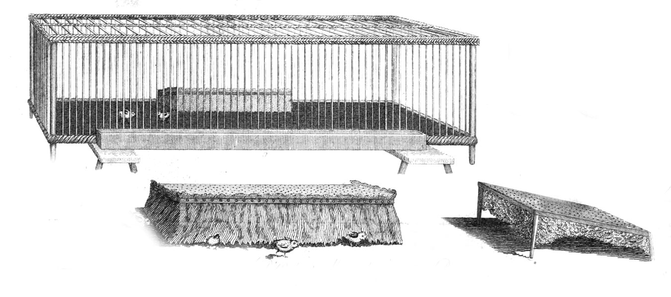 Hannah D'Oyly's apparatus for breeding chickens, c. 1808.